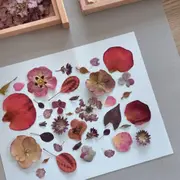 Atelier création d'herbiers à Saint-Aubin-de-Médoc (33)