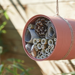 Atelier création d'hôtel à insectes