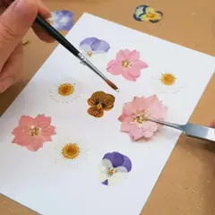 Atelier création d'un herbier à l'Aiguillon-sur-Vie (85)