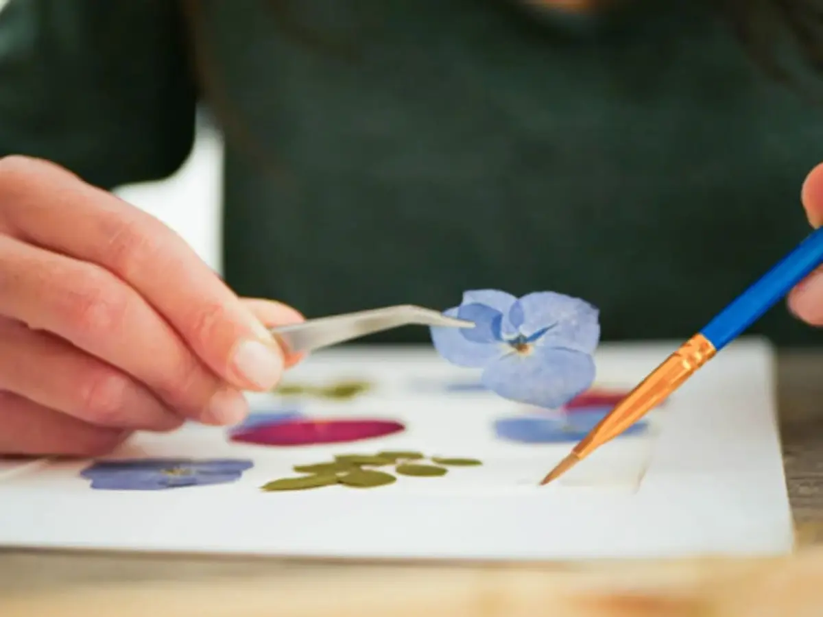 Atelier création d'un herbier à Lyon 3ème