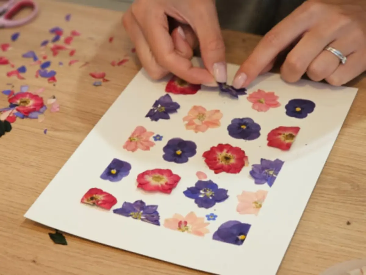 Atelier création d'un herbier  à Mouvaux (59)