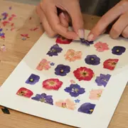 Atelier création d'un herbier  à Mouvaux (59)