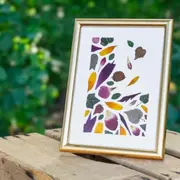 Atelier création d'un herbier à Strasbourg (67)