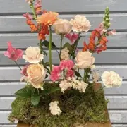 Atelier création d'un jardin fleuri à Paris 20ème