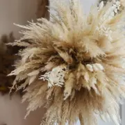 Atelier création d'un nuage Pampa à Mouvaux (59)