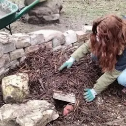 Atelier : création d'un refuge pour animaux