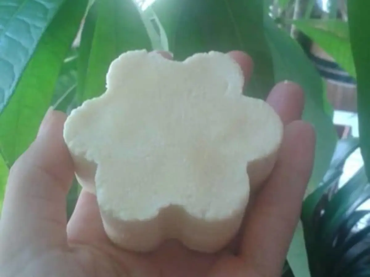 Atelier création d'un shampoing solide à Lille (59)
