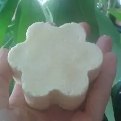 Atelier création d'un shampoing solide à Lille (59)