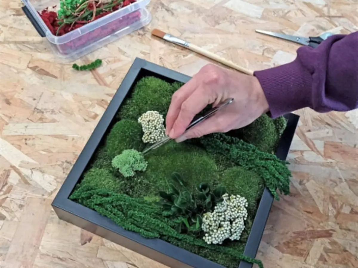 Atelier création d'un tableau végétal à Dijon (21)