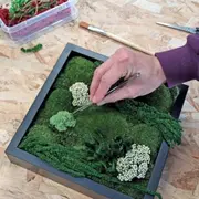 Atelier création d'un tableau végétal à Dijon (21)