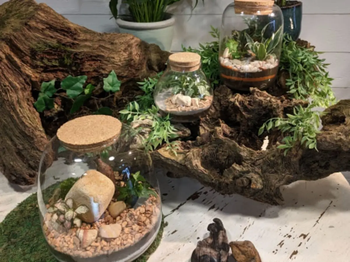 Atelier création d'un terrarium à Darnetal (76)