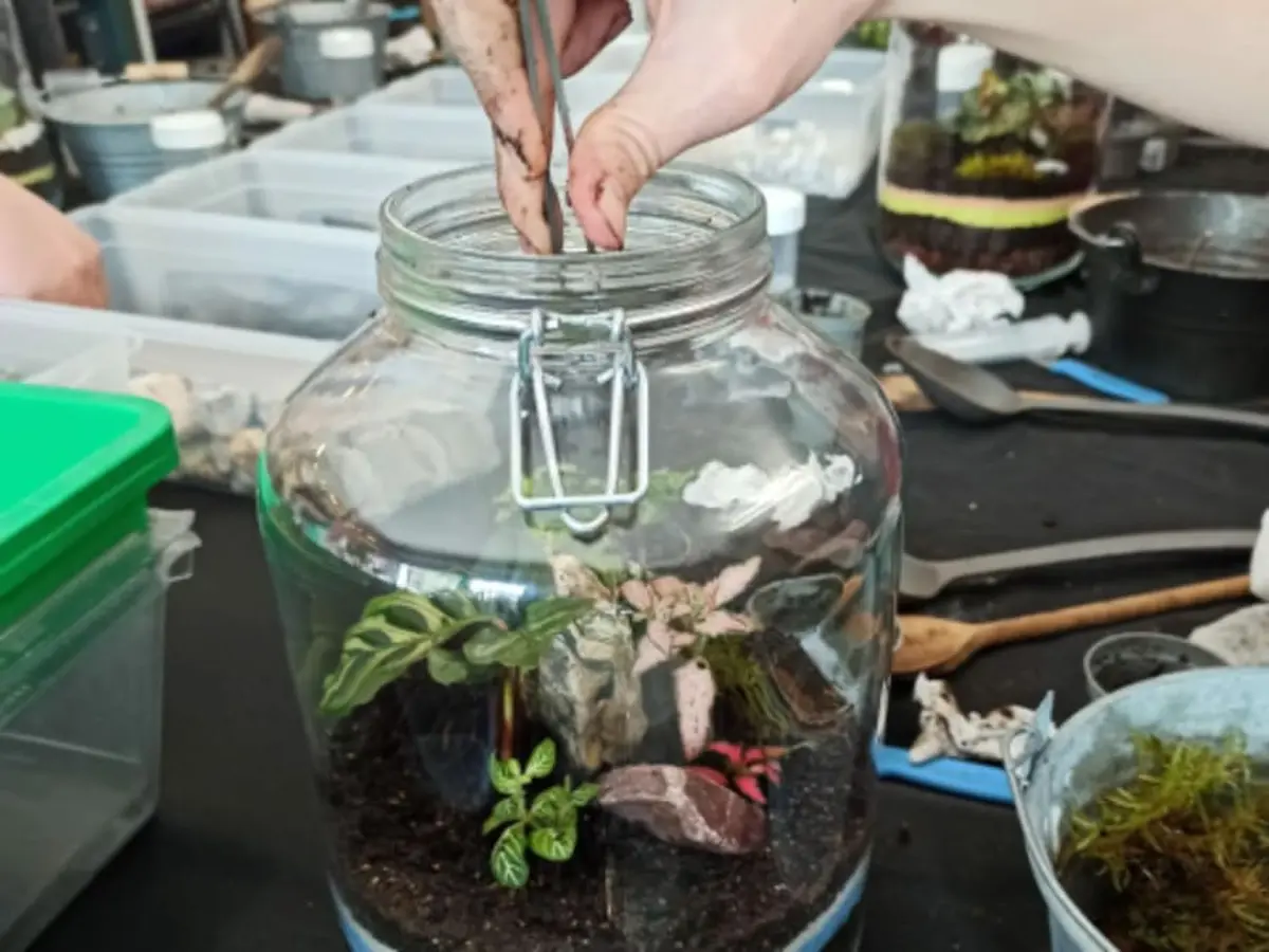 Atelier création d'un terrarium à Dijon (21)