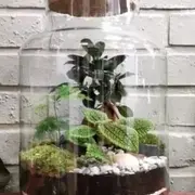Atelier création d'un terrarium à Jouy-en-Josas (78)