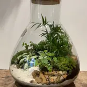 Atelier création d'un terrarium  à Nantes (44)
