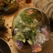 Atelier création d'un Terrarium à Paris 11ème