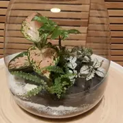 Atelier création d’un terrarium à Paris  20ème