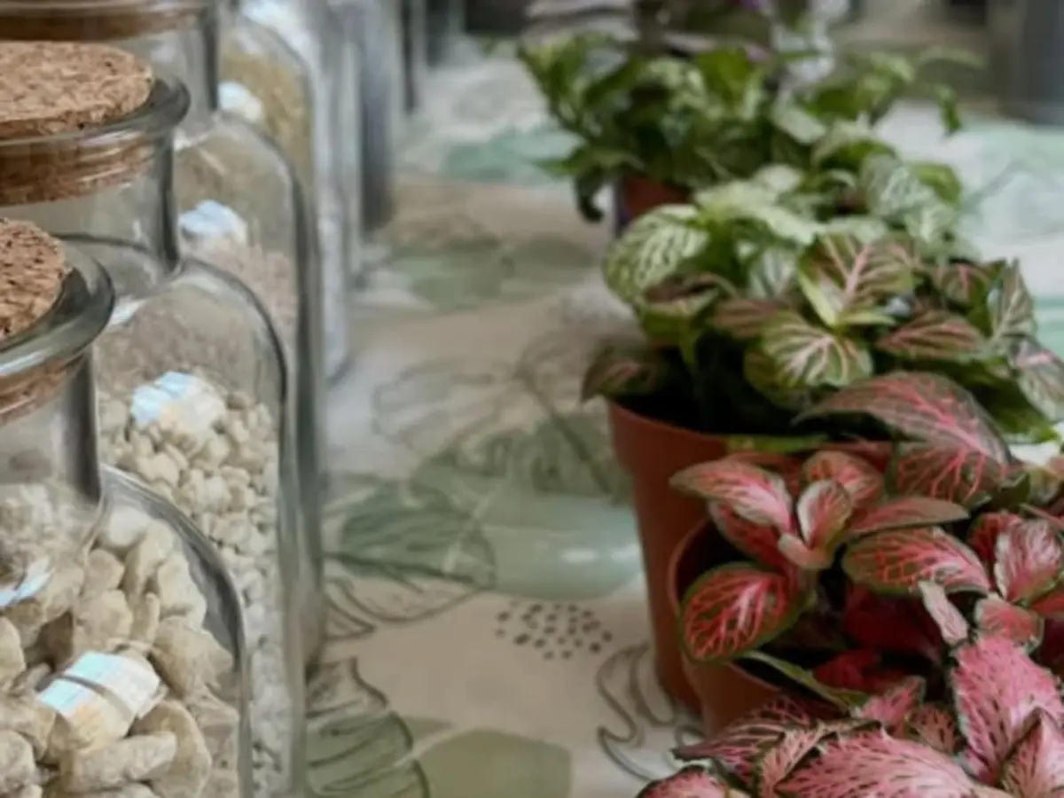 Atelier cr&eacute;ation d'un terrarium &agrave; Reims (51)