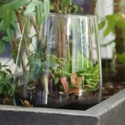 Atelier création d'un terrarium ouvert à Lyon 2ème