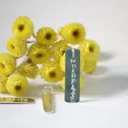 Atelier création d'une médaille personnalisée à Toulouse (31)