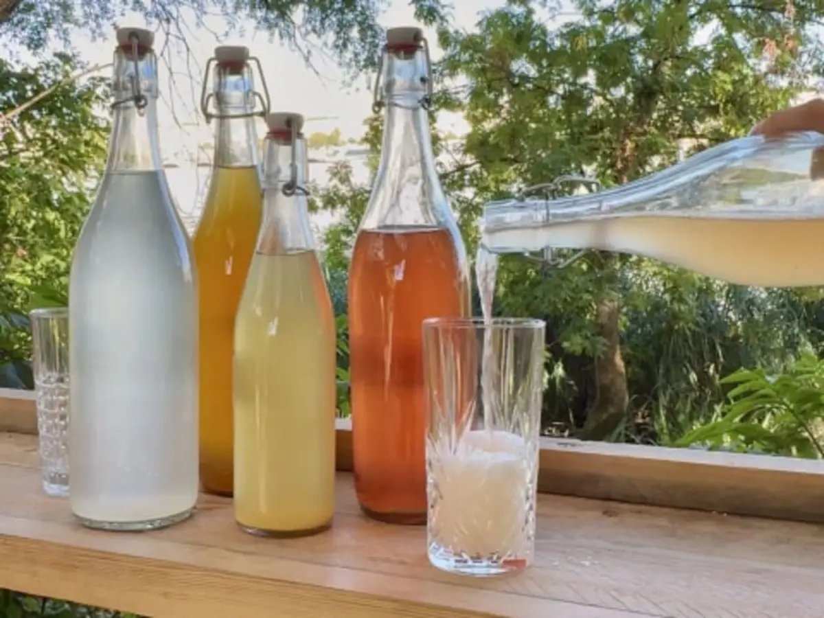 Atelier création de boissons fermentées à Bordeaux (33)