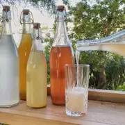 Atelier création de boissons fermentées à Bordeaux (33)