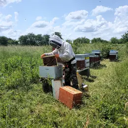 Atelier création de bougies à la cire naturelle d’abeille