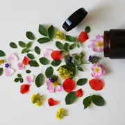 Atelier création de cosmétiques bio