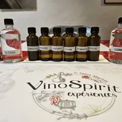 Atelier création de gin à Taradeau (83)