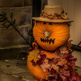 Atelier | Création de monstres d'Halloween