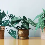 Atelier création de plante en papier à Lyon (69)