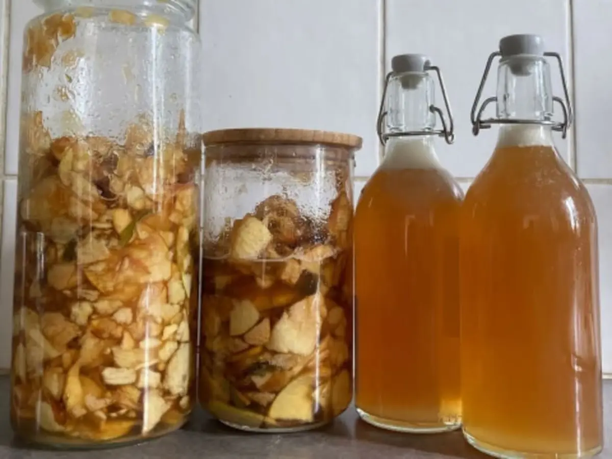 Atelier création de sodas et sirops fermentés à Toulouse (31)