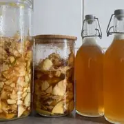 Atelier création de sodas et sirops fermentés à Toulouse (31)