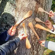 Atelier création de spatule en bois près de Fontainebleau (77)