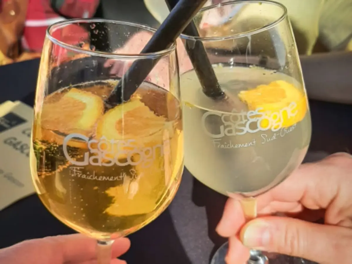 Atelier création et dégustation de cocktail dans un domaine (32)