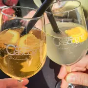 Atelier création et dégustation de cocktail dans un domaine (32)