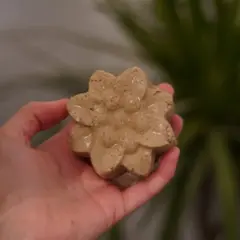 Atelier création rituel capillaire en Seine et Marne (77)