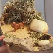 Atelier création tanière du tigre à Bordeaux (33)