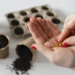 Atelier créations nature : Médiathèque La Ronde des mots