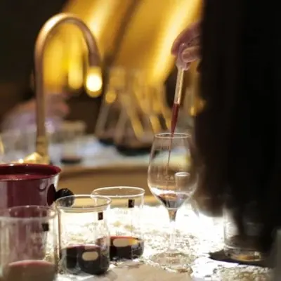 Atelier créer son propre vin