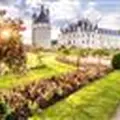 Atelier « creuse ta citrouille »