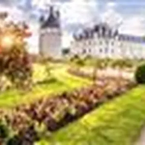Atelier « creuse ta citrouille »
