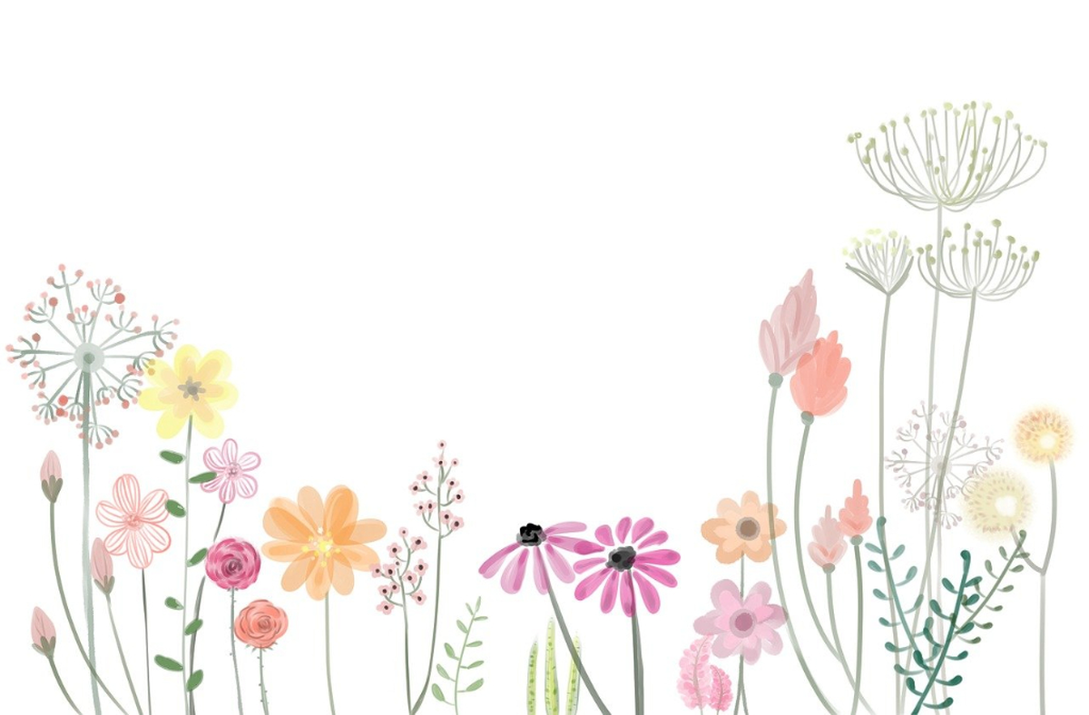 Atelier croquis et dessins