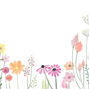 Atelier croquis et dessins