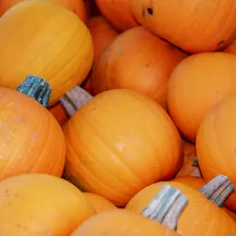Atelier cuisine de pâtes à tartiner de courges