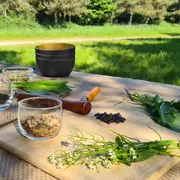 Atelier cuisine des plantes sauvage