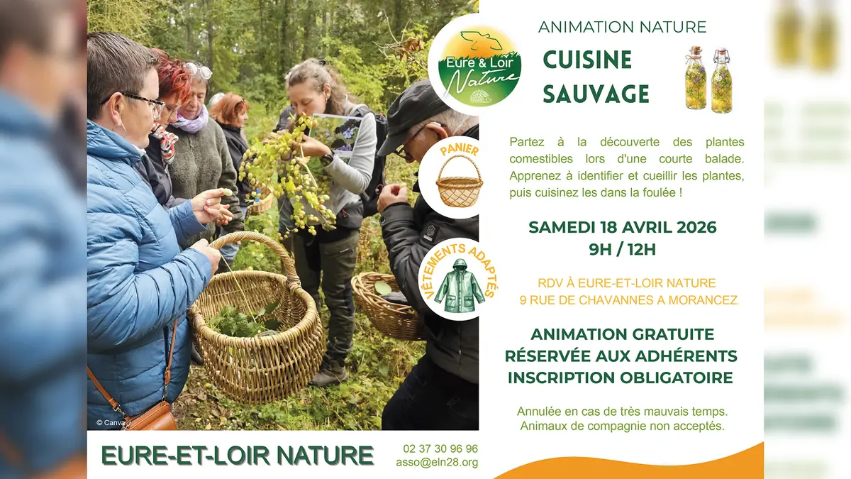 Atelier Cuisine sauvage par Eure-et-Loir Nature - Morancez