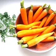 Atelier Cuisine zéro déchets : beau et bon