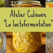 Atelier Culinaire Découverte De La Lactofermentation