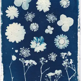 Atelier Cyanotype