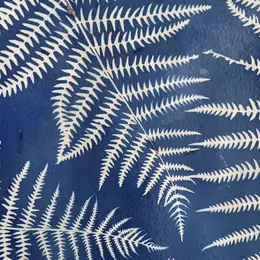Atelier cyanotype